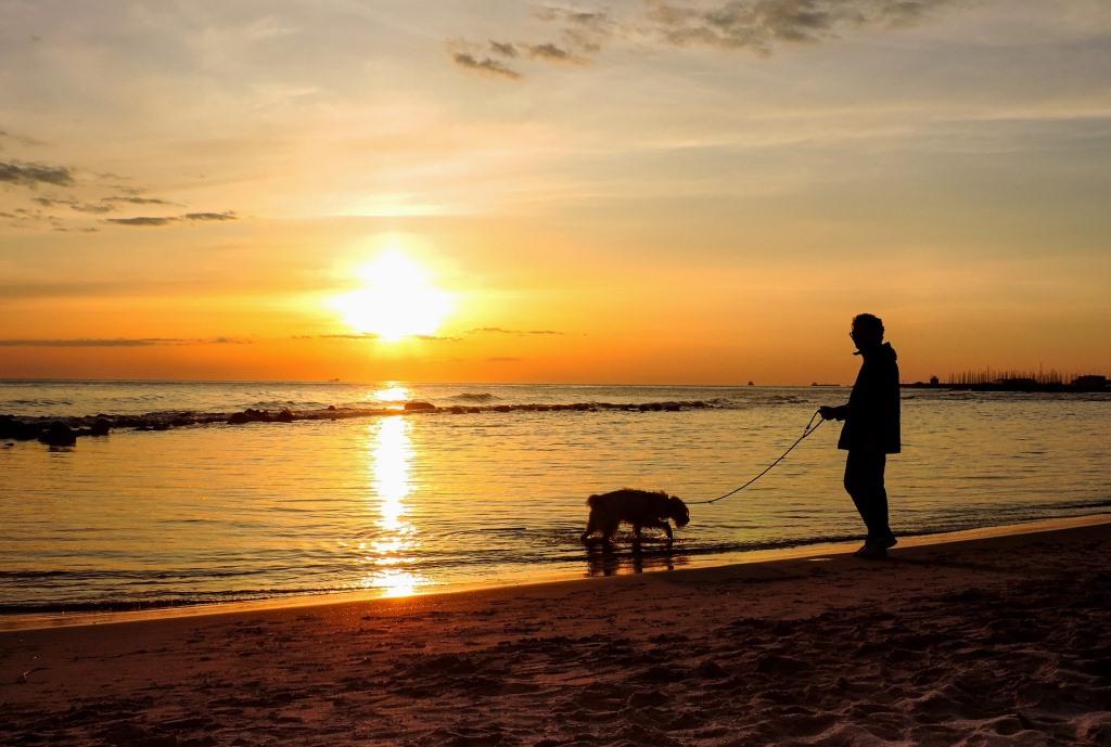 Ferienhof Schlumm - Spaziergang mit Hund im Sonnenuntergang