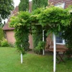 Ferienhof im Schlumm - Die Ferienwohnung "Blumenwiese" mit Eingang vom Garten und ideal für Hunde