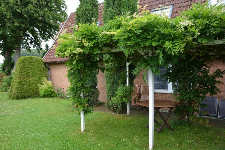 Ferienhof im Schlumm - Die Ferienwohnung "Blumenwiese"