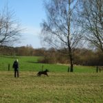 Ferienhof im Schlumm - Die Hunderettungsstaffel übt auf unserem Agility-Platz und macht Urlaub