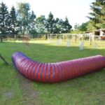 Ferienhof im Schlumm - Unser Agility-Platz