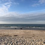 Ferienhof im Schlumm -Unsere Vierbeiner vergnügt am leeren Strand auf Rügen