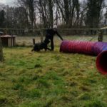 Ferienhof im Schlumm - Training auf unserem Agility-Platz für Vierbeiner