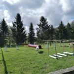 Ferienhof im Schlumm - Unser Agility-Platz für ihren Vierbeiner