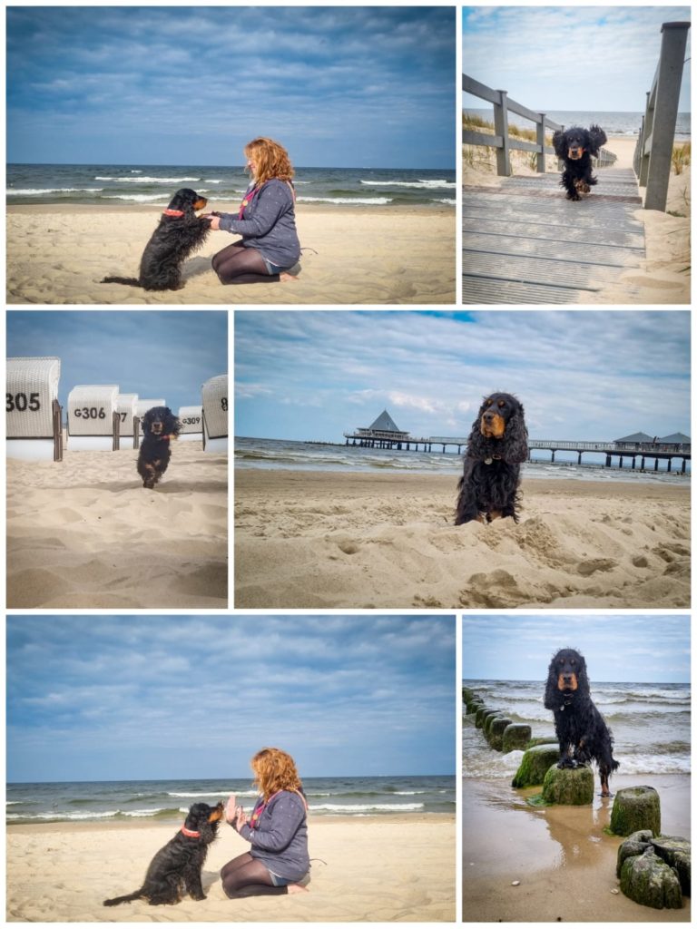 Ferienhof im Schlumm - Urlaubsfotos unserer Gäste mit Hund auf der Insel Rügen