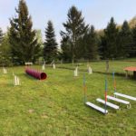 Ferienhof im Schlumm - Unser Agility-Platz für ihren Vierbeiner