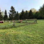 Ferienhof im Schlumm - Unser Agility-Platz für ihren Vierbeiner