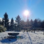 Winter im Ferienhof Schlumm 4