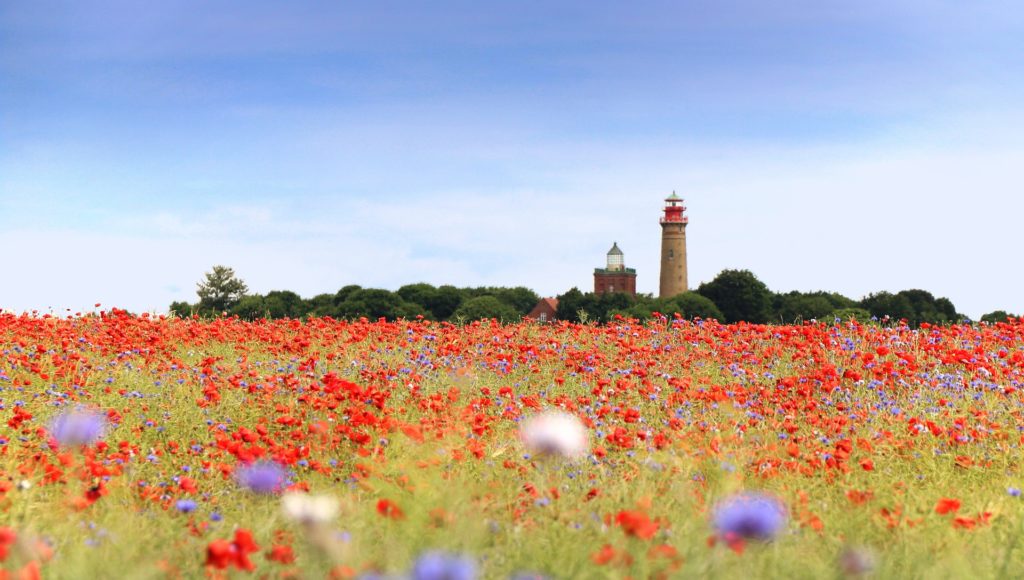 Titelbild_Sommer auf Rügen im Schlumm